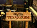 Texas Farm