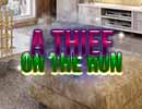 Thief on the Run