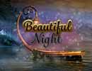 Beautiful Night Hidden Games