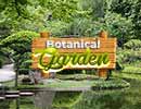Botanical Garden Hidden Games