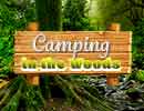 Camping in the Woods Hidden Games