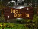 Forest Expedition Hidden Games