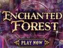 Forest Sorceress Hidden Games