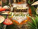 Forest Trackers