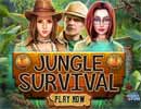 Jungle Survival Hidden Games
