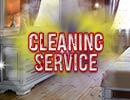 Cleaning Service