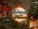 Miracle Place