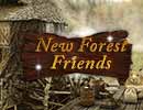 New Forest Friends