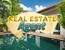 Real Estate Agent Hidden Games