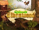 Return to Elvenwood