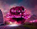 Rose of Eternal Life Hidden Games