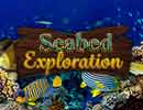 Seabed Exploration