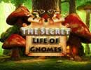 Secret Life of Gnomes