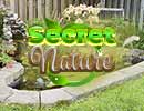 Secret Nature Hidden Games