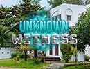 Unknown Witness