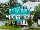 Unknown Witness Hidden Games