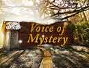 Voice of Mystery Hidden Games