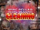 Wine Cellar Cleaning