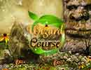 Wizard Course