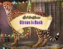 Circus is Back