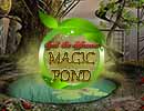 Magic Pond