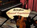 Musical Experience Hidden Games