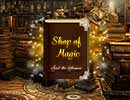 Shop of Magic Hidden Games